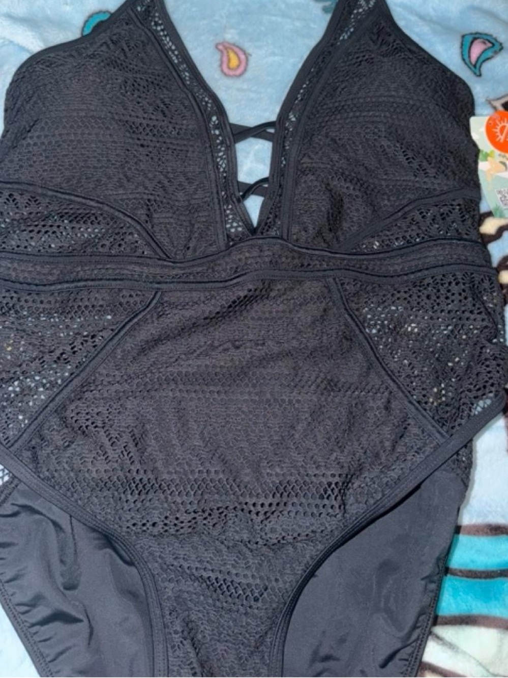 Black Lace One-Piece Swimsuit with Plunge V-Neck